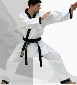 Tang-Soo-Do Hapkido Taekwondo Anzug TANG Master II
