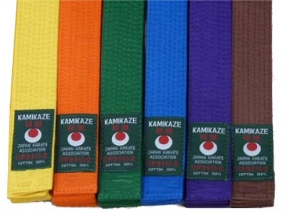 Kamikaze-Karategürtel violett