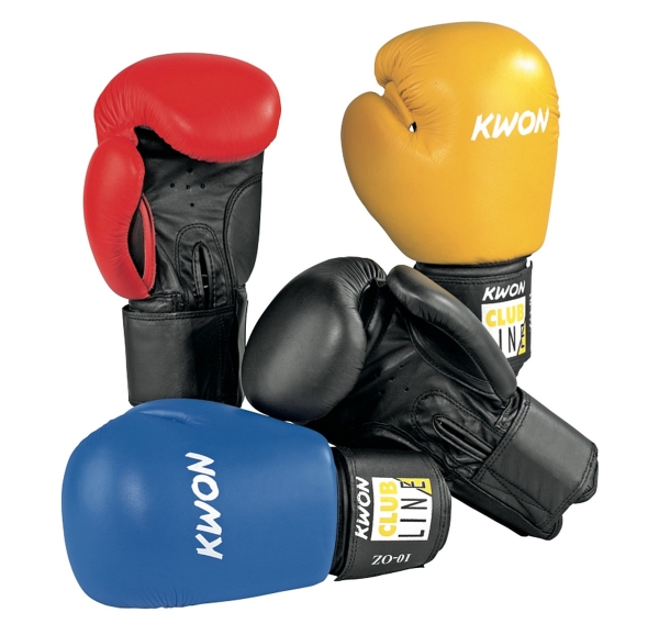 KWON (R) Boxhandschuhe POINTER 10 oz
