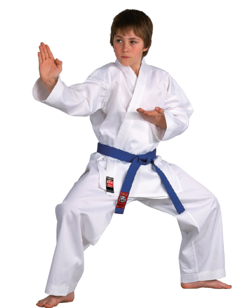 Danrho (R) Karate Anzug DOJO LINE weiss
