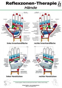 DIN A4: Reflexzonen-Therapie Mini-Poster - Hände (laminiert) 4353