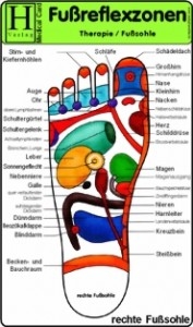 Medizinische Karte A5: Fußreflexzonen Therapie - Fußsohle (1501)