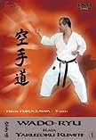 DVD Wado-Ryu Yakusoku Kumite Teil 1