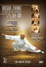 DVD Bagua Zhang - San Yuan Zhang Teil 2