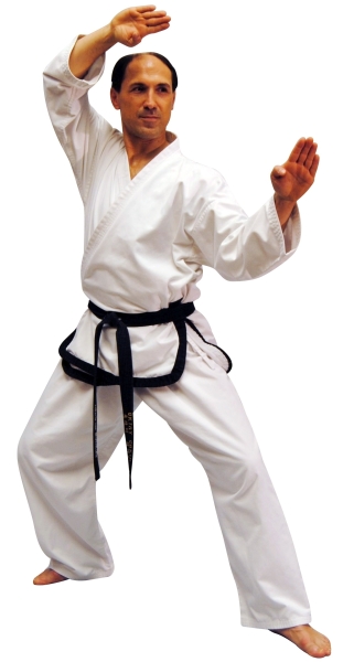 Taekwondo ANZUG Traditional MASTER