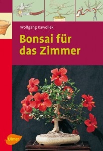 Bonsai für das Zimmer (Ulmer-Verlag)