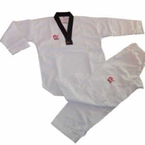 Teakwondo Anzug Korea Master II mit Rückenbestickung