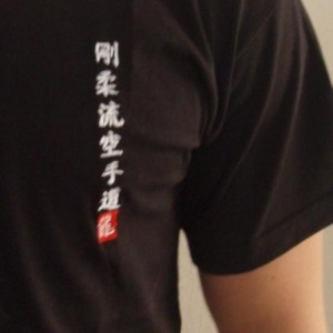 Budodrake T-Shirt schwarz Shito-Ryu Karate-Do