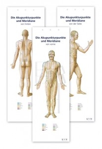 Die Akupunkturpunkte und Meridiane - Poster Set