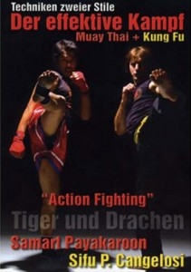 Tiger und Drachen - Action Fighting - Der effektive Kampf (Muay Thai + Kung Fu)