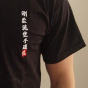 Budodrake T-Shirt schwarz Goju-Ryu Karate-Do