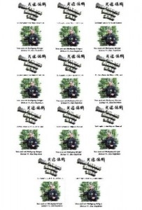 DVD Budo- Taijutsu Ninjutsu 10.Kyu bis 1.Dan, kompletter Satz (11 DVDs)