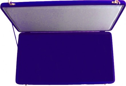 Gürtelkoffer für Championgürtel blau 52 x 28cm