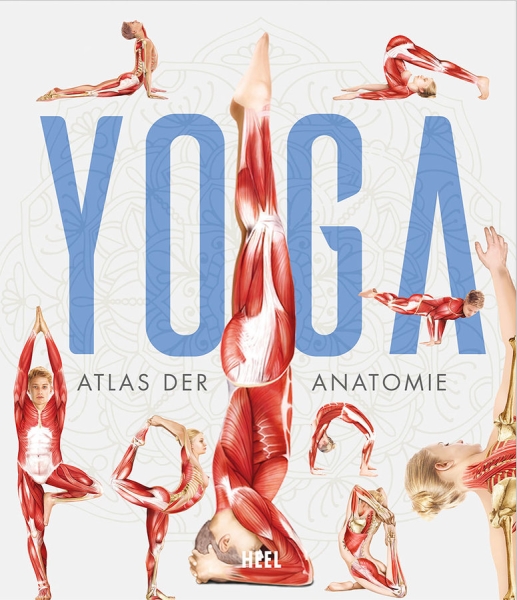 Yoga: Atlas der Anatomie (Tengs, Svenja)