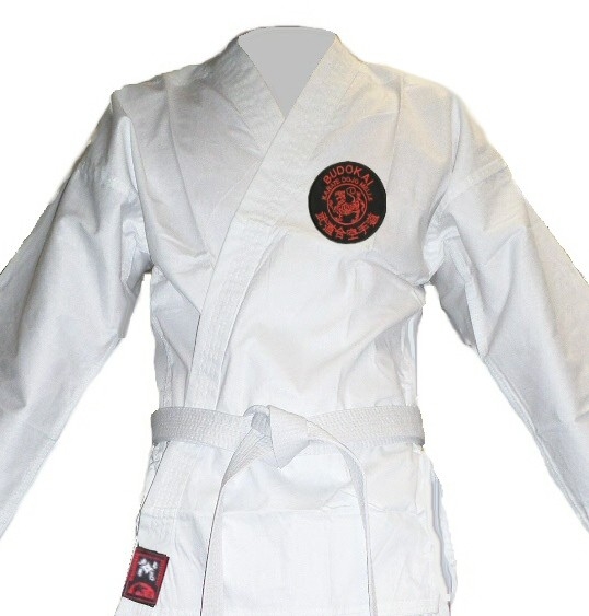 Karateanzug Budodrake Team-Style mit individuellem Logo