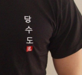 Budodrake T-Shirt schwarz Tang Soo Do