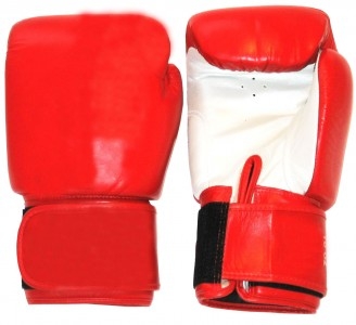 Boxhandschuhe Profi Echtleder rot-weiß
